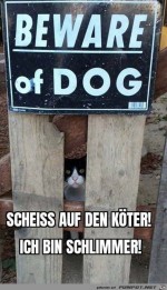 Katze-ist-gefhrlicher-als-der-Hund.jpg auf www.funpot.net