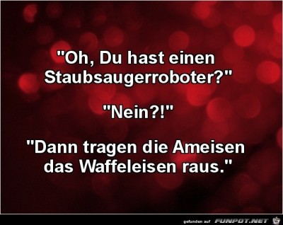 Staubsaugerroboter.jpg von Trudi