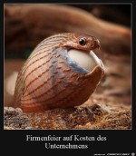 Hauptsache-umsonst.jpg auf www.funpot.net