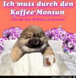 Kaffee-Monsun.jpg auf www.funpot.net