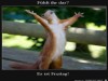 weiter