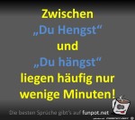 Du-Hengst.jpg auf www.funpot.net