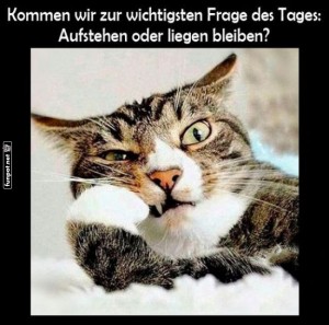 Begrüßungsbild