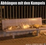 Mit-Kumpels-abhngen.jpg auf www.funpot.net