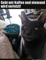 Katze-guckt-gefhrlich.jpg auf www.funpot.net