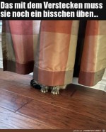 Verstecken-muss-noch-gebt-werden.jpg auf www.funpot.net