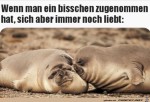 Bisschen-zugenommen.jpg auf www.funpot.net
