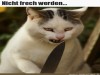 weiter