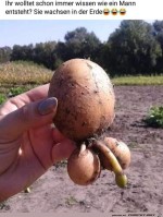 Ein-Mann-wchst-in-der-Erde.jpg auf www.funpot.net