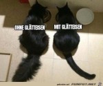 Rau-und-glatt.jpg auf www.funpot.net