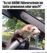 Es-ist-grn.jpg auf www.funpot.net