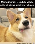 Montagmorgen.jpg auf www.funpot.net