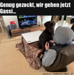 Genug-gezockt.jpg auf www.funpot.net