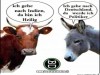 weiter