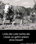 Ackern-ohne-Diesel.jpg auf www.funpot.net