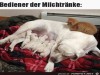 weiter
