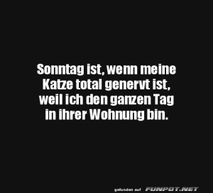 Begrüßungsbild