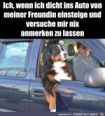 Mglichst-nichts-anmerken-lassen.jpg auf www.funpot.net