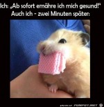 Gesunde-Ernhrung.jpg auf www.funpot.net