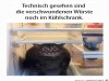 weiter
