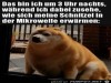 weiter