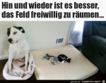 Freiwillig-das-Feld-gerumt.jpg auf www.funpot.net