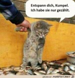 Ich-hab-die-Fische-nur-gezhlt.jpg auf www.funpot.net