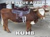 weiter