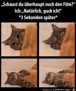 Guckst-du-den-Film-noch?.jpg auf www.funpot.net