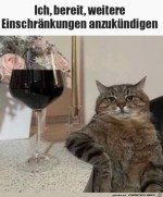 Katze-ist-bereit.jpg auf www.funpot.net