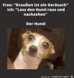 Der-Hund-ist-nicht-begeistert.jpg auf www.funpot.net