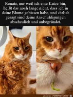 Verdchtig.jpg auf www.funpot.net