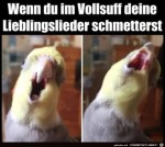 Lieblingslieder-schmettern.jpg auf www.funpot.net