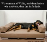 Hund-auf-Sofa.jpg auf www.funpot.net