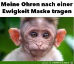Propeller-Ohren.jpg auf www.funpot.net