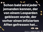 Affenpocken.jpg auf www.funpot.net