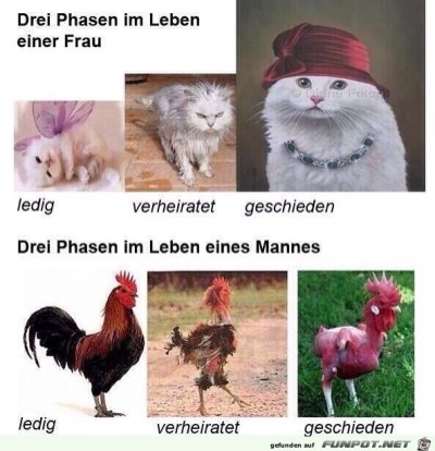Drei-Phasen-im-Leben-einer-Frau-und-eines-Mannes.jpg von Beatzekatze