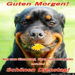 Dienstag.jpg auf www.funpot.net