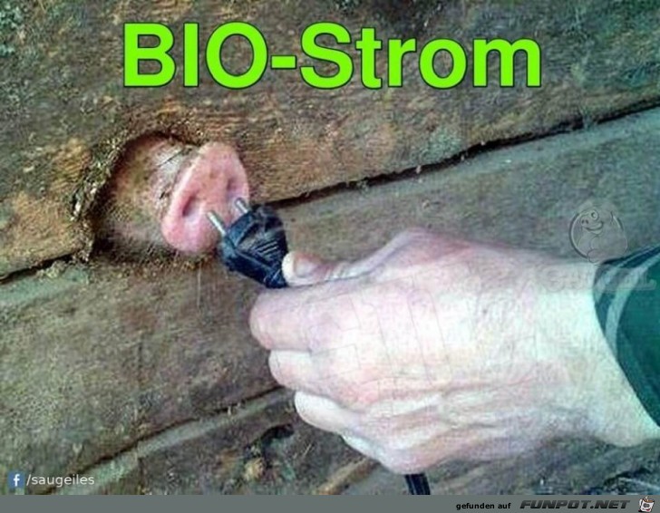 Bio-Strom Bio-Strom