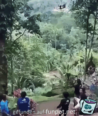 Extremschaukeln Extremschaukeln