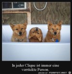 Ein-kleiner-Chaot.jpg auf www.funpot.net