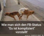 Komplizierter-Status.jpg auf www.funpot.net