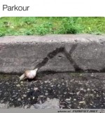 Schnecken-Parkour.jpg auf www.funpot.net