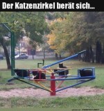 Der-Katzenzirkel.jpg auf www.funpot.net