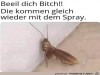 weiter