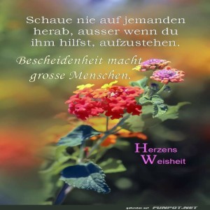 herz-Bild: Schau auf niemanden herab