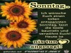weiter