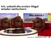 weiter