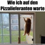Auf-die-Pizza-warten.jpg auf www.funpot.net