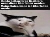 weiter